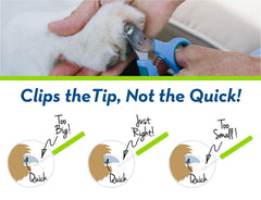 Zen Clipper 2.5mm hole detail emphasizing controlled nail trimming for cats.