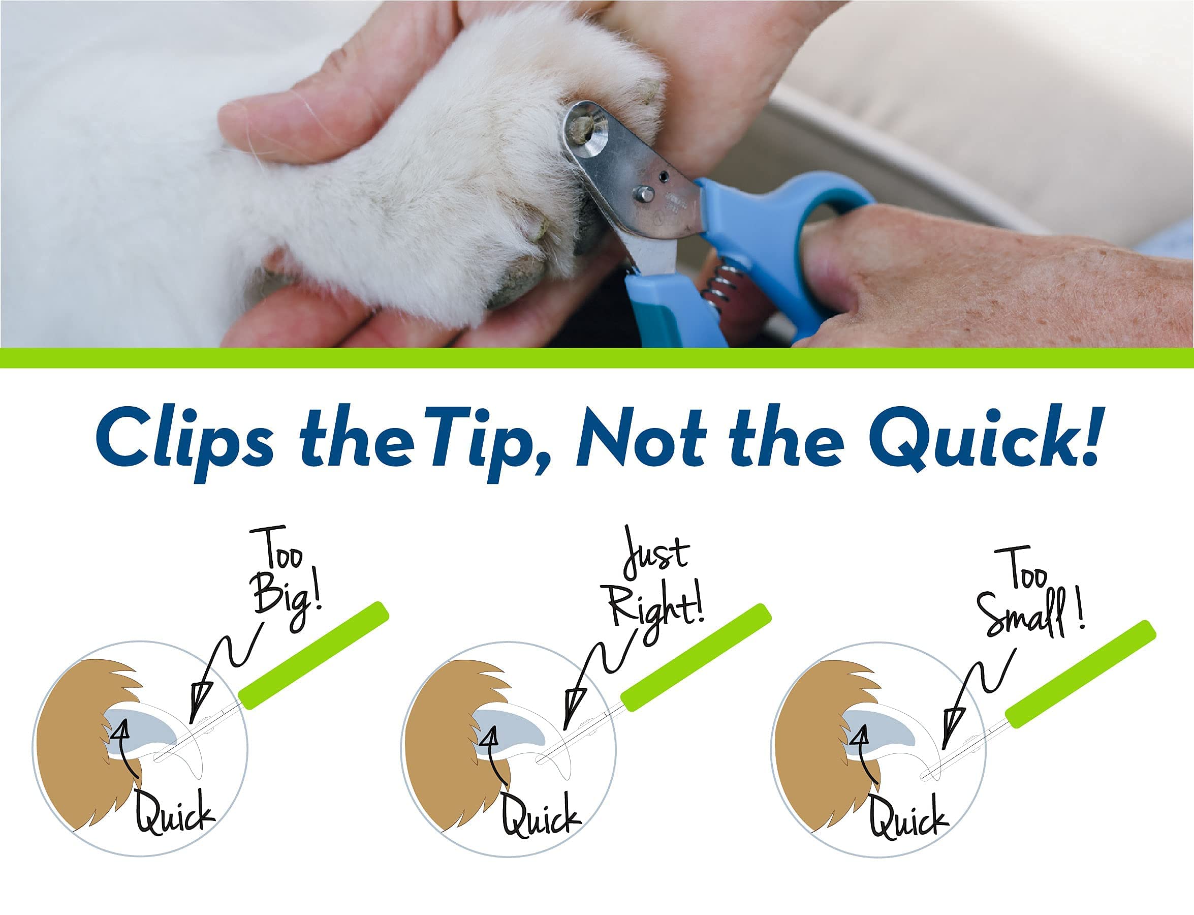 Zen Clipper used on a puppy to showcase safe nail care at home.
