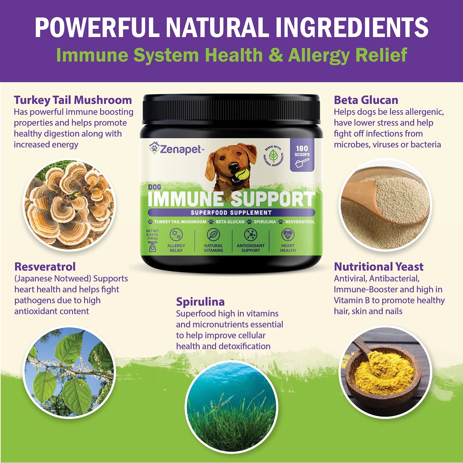 Zenapet dog immune topper beta-glucan ingredients supporting immune balance and gut health.