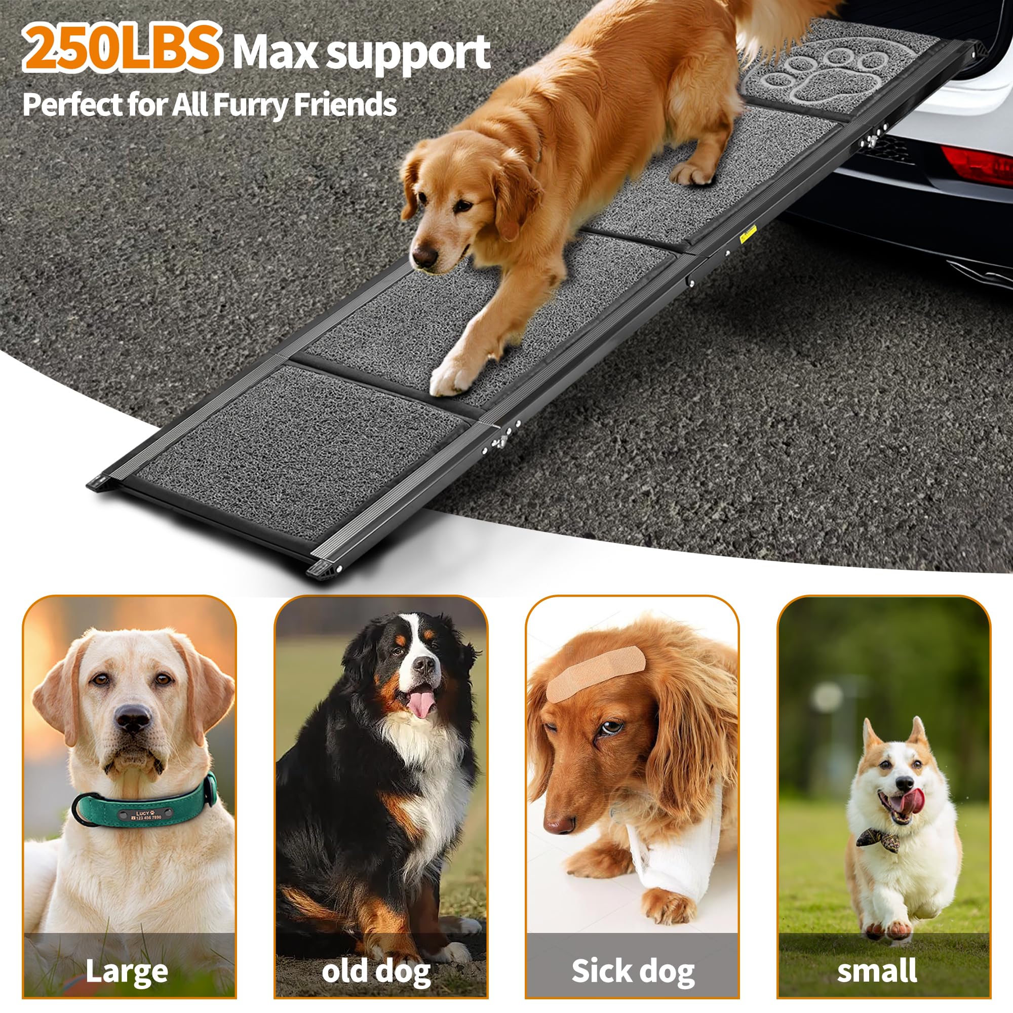 Zendova dog ramp with reinforced frame adds stability during climbs.