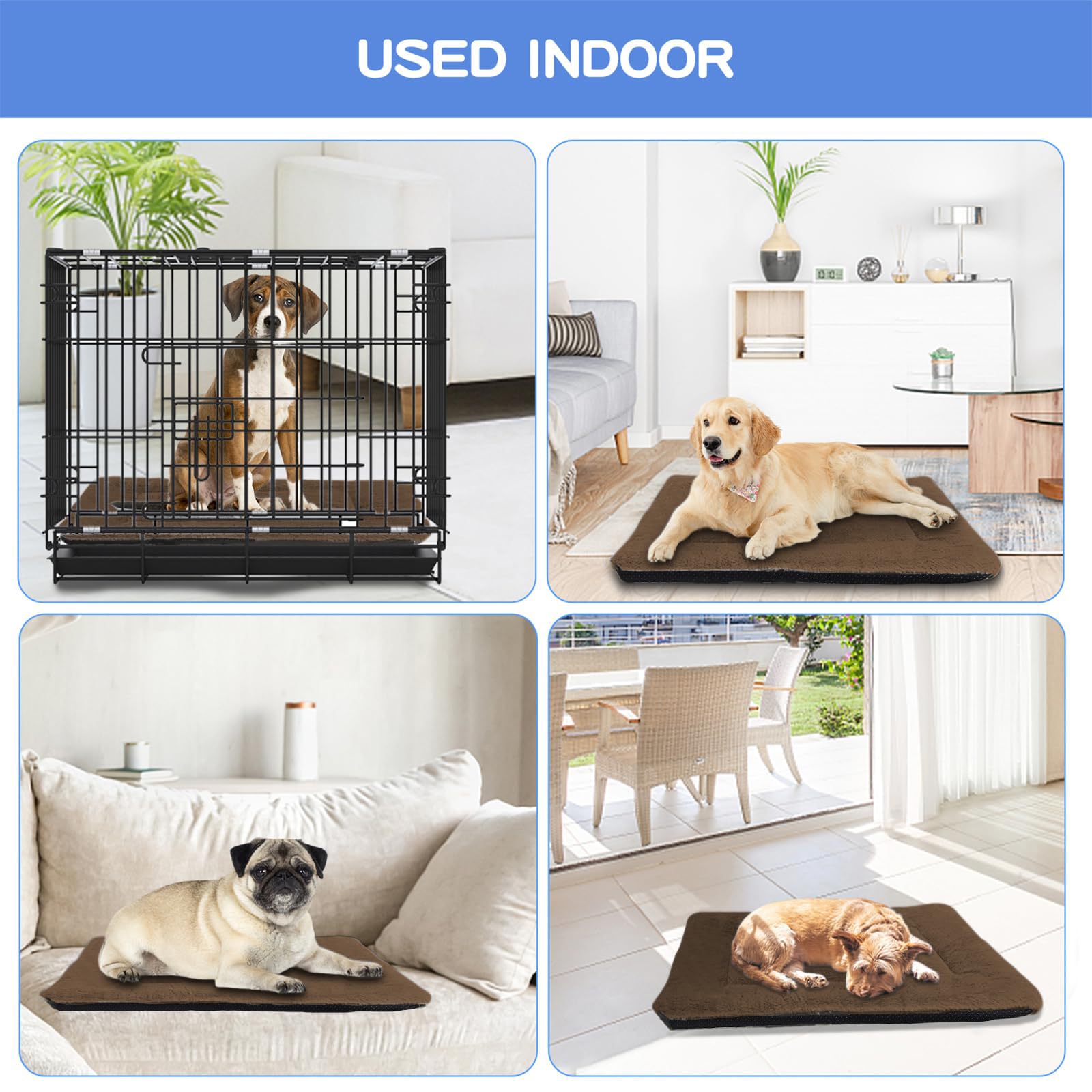 ZENGAOOU dog bed curry dog sleeping on bed shows soft, supportive surface.