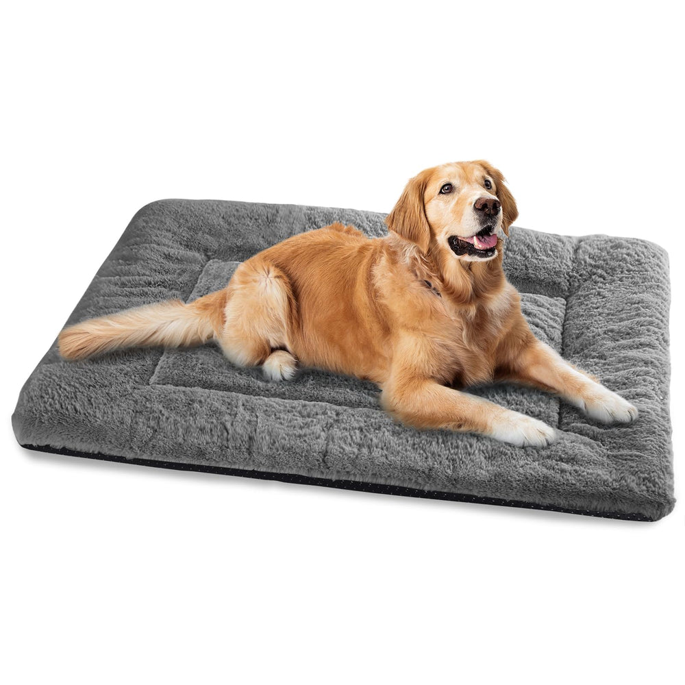 ZENGAOOU dog bed in dark grey lounge demonstrates ultra-soft surface for cozy, peaceful naps.