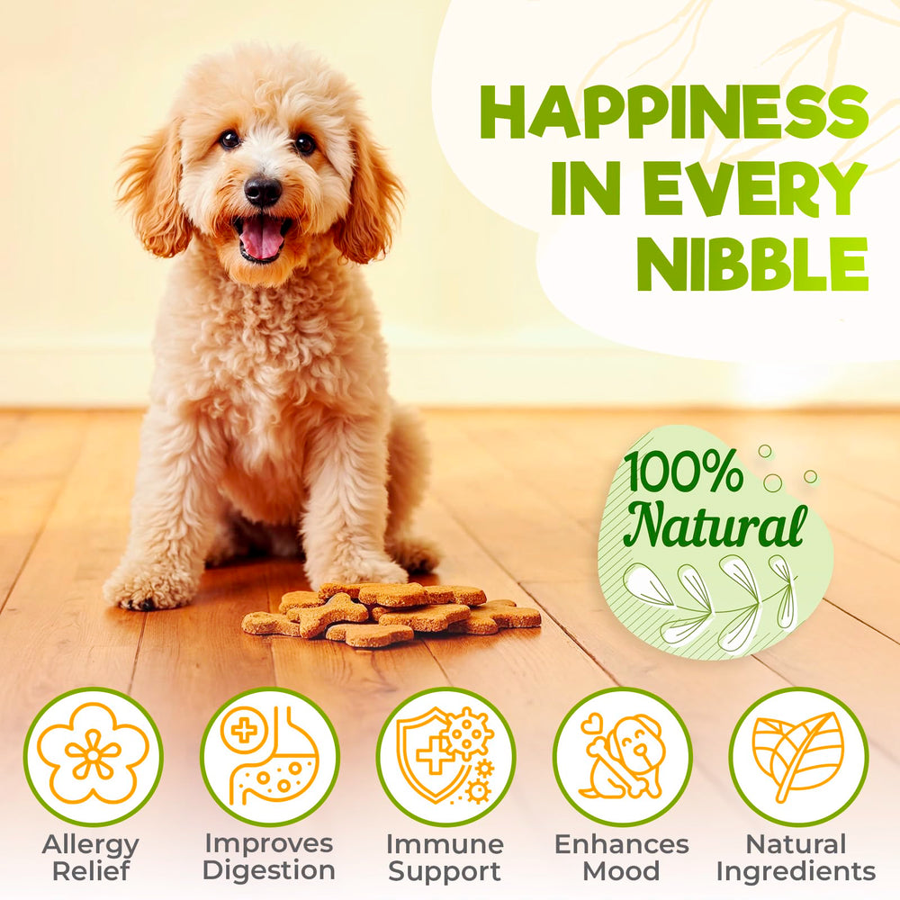 ZENO Dog Allergy Chews beef treats close-up shows texture and flavor appeal.