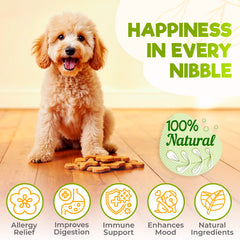ZENO Dog Allergy Chews beef treats close-up shows texture and flavor appeal.