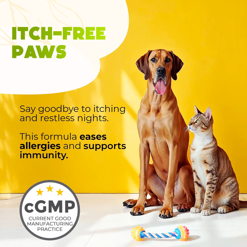 ZENO Dog Allergy Chews features prebiotics and probiotics for digestive support.