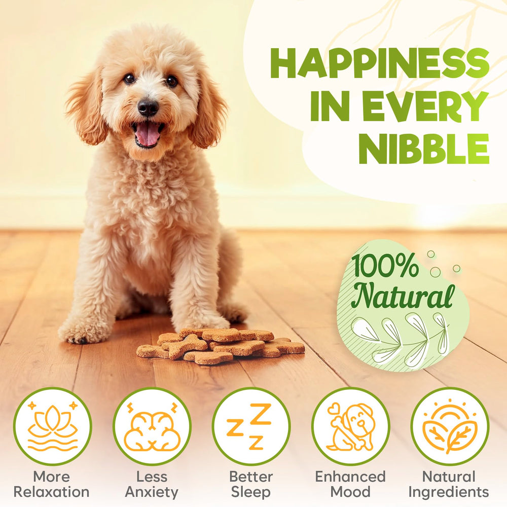 ZENO hemp calming chews beef close-up shows a tasty, calming treat for dogs.
