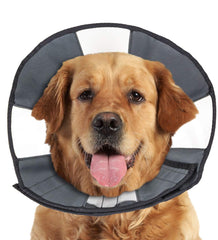 ZenPet Recovery Cone with soft edges for gentle comfort during recovery.
