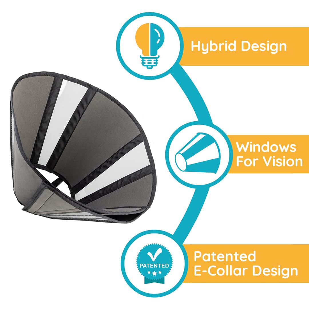 ZenPet Recovery Cone is vet-approved protection against licking after procedures.
