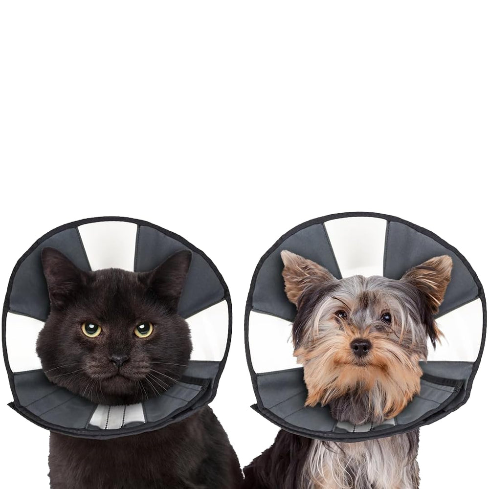 ZenPet recovery cone wide-vision enables safe eating and mobility.