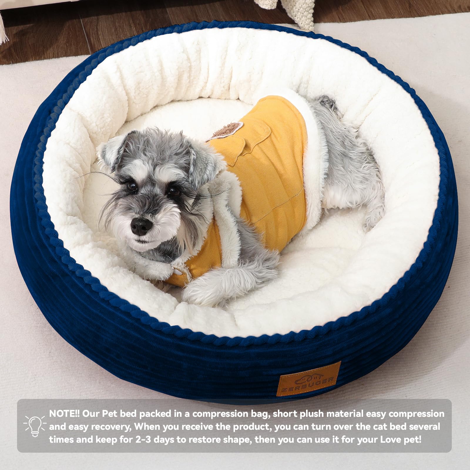 Zerbuger round bed on couch demonstrates versatile indoor lounging.