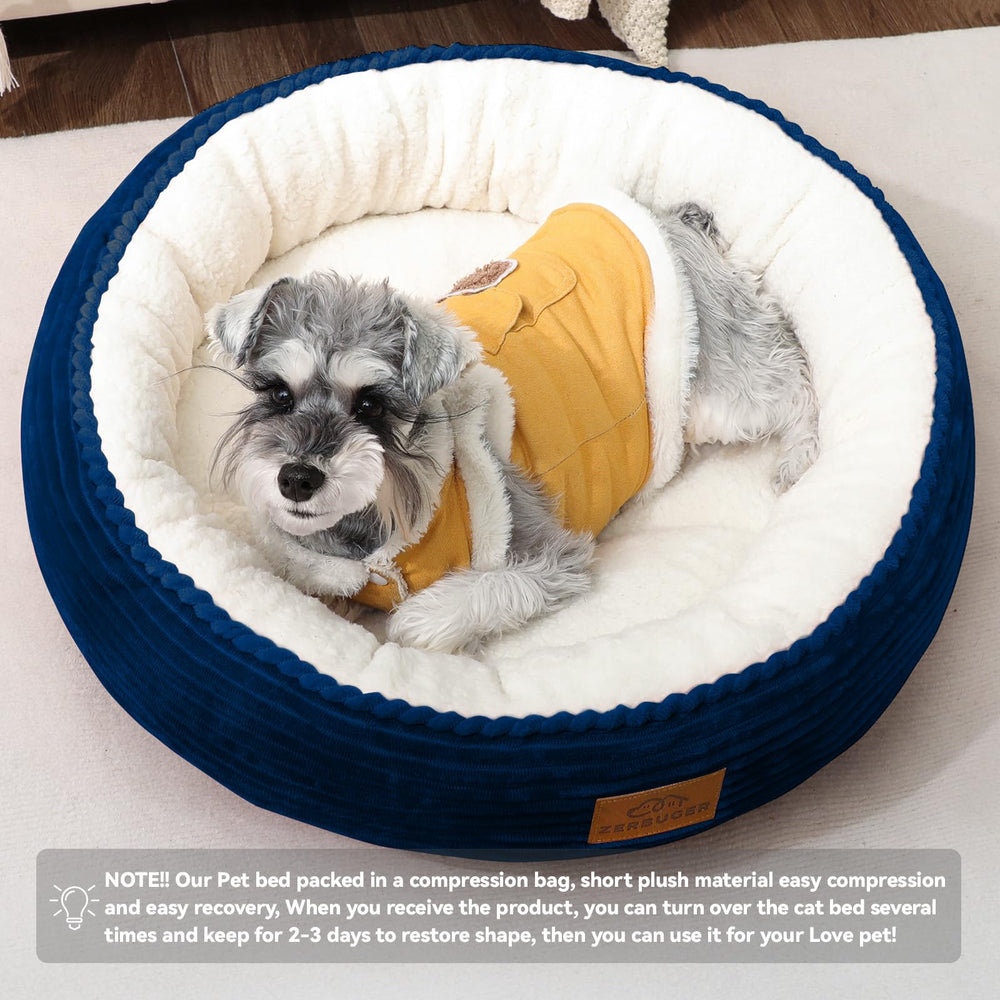 Zerbuger round bed on couch demonstrates versatile indoor lounging.