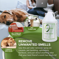 Zero Odor spray for car interior eliminates stubborn odors in upholstery