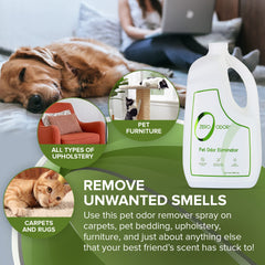 Zero Odor pet odor eliminator car interior application to reduce odors