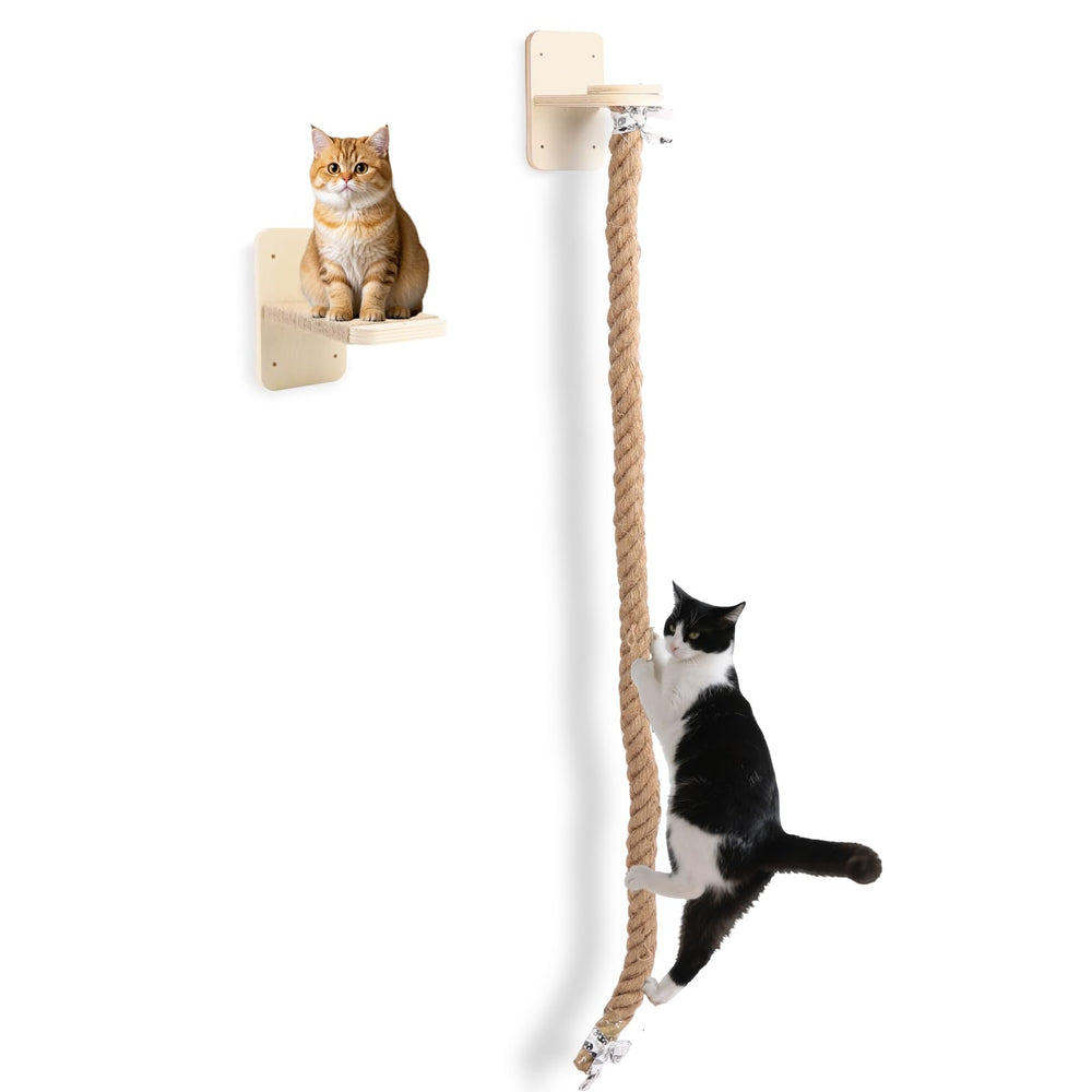 ZESTEFY cat climbing wall main view with two levels for exploration and lounging