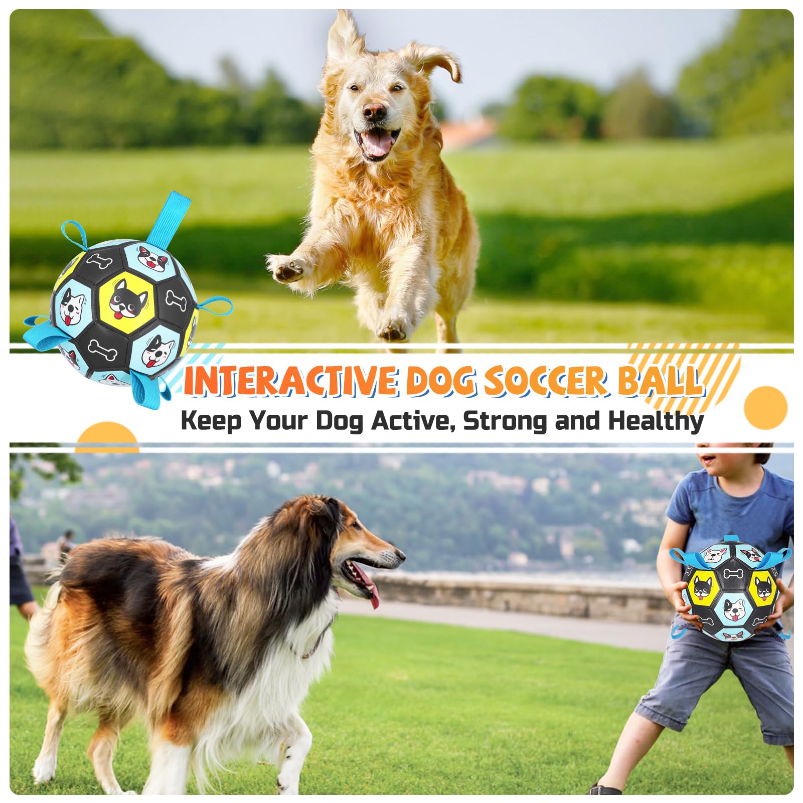 ZestPulse dog fetch toy buoyant design supports water play and splash fun