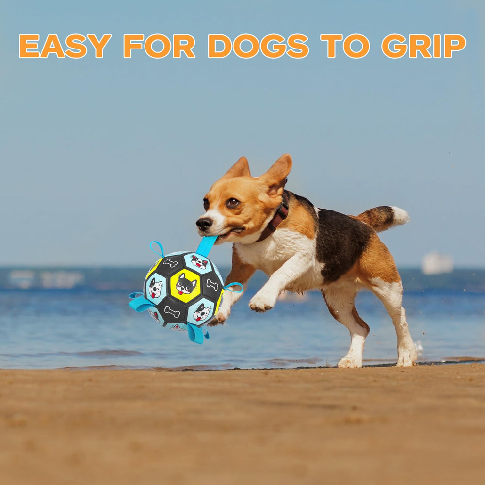 ZestPulse safety note: not a chew toy; supervision recommended