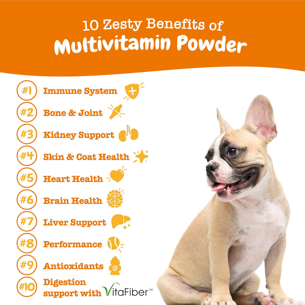 Zesty Paws 10-in-1 powder-dog-food-mix offers versatile feeding options.
