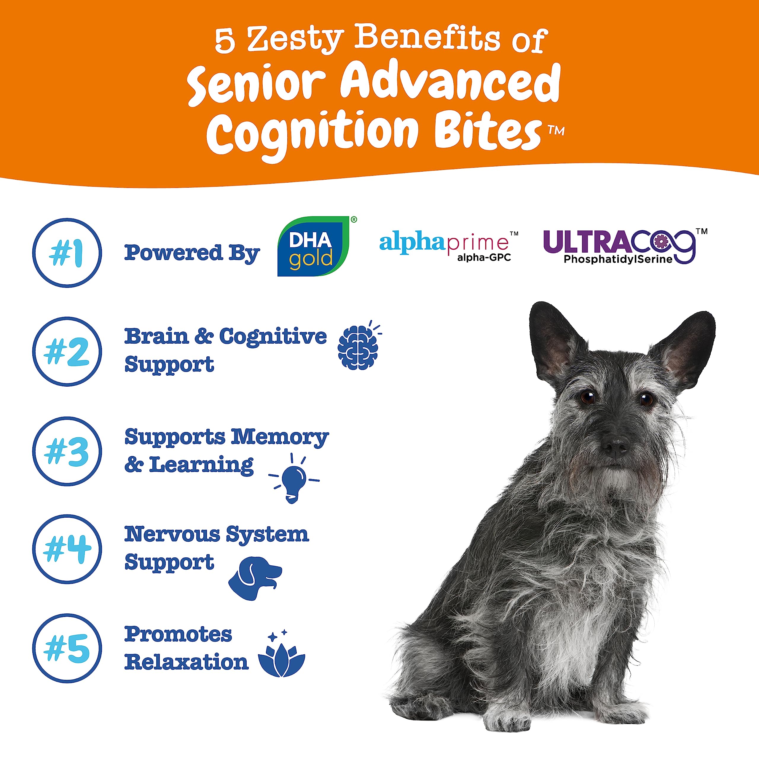 Zesty Paws Advanced Cognition bites chew closeup highlights DHA rich formula aiding brain function.