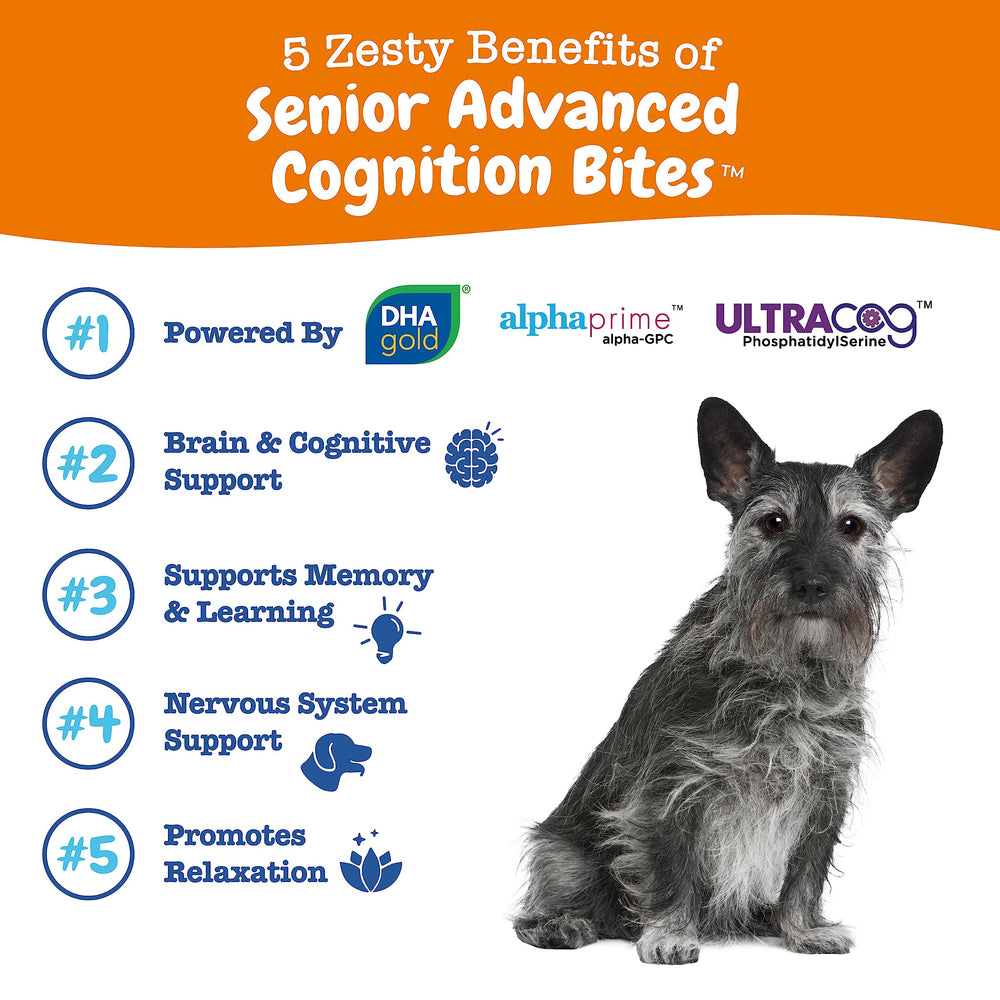 Zesty Paws Advanced Cognition bites chew closeup highlights DHA rich formula aiding brain function.