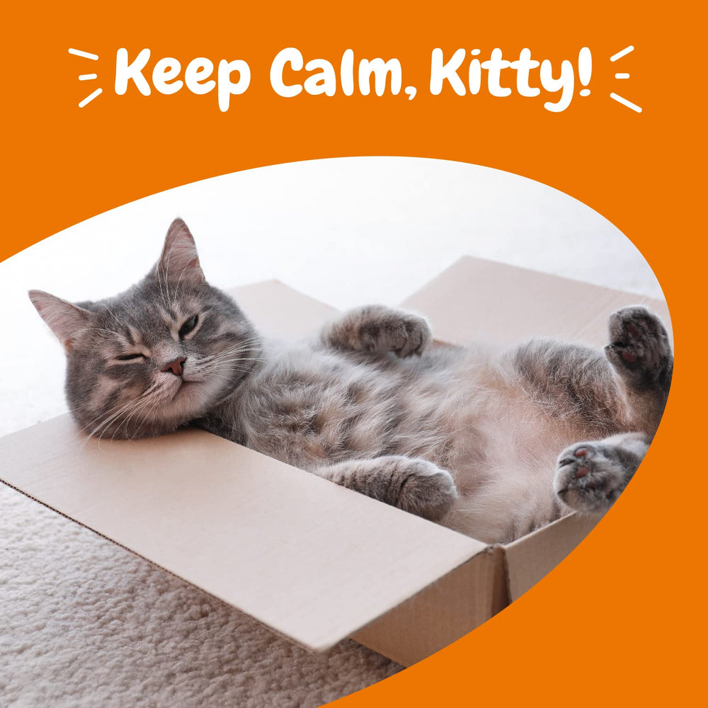 Zesty Paws Calming Chews cat-separation-scene illustrating calm during visits
