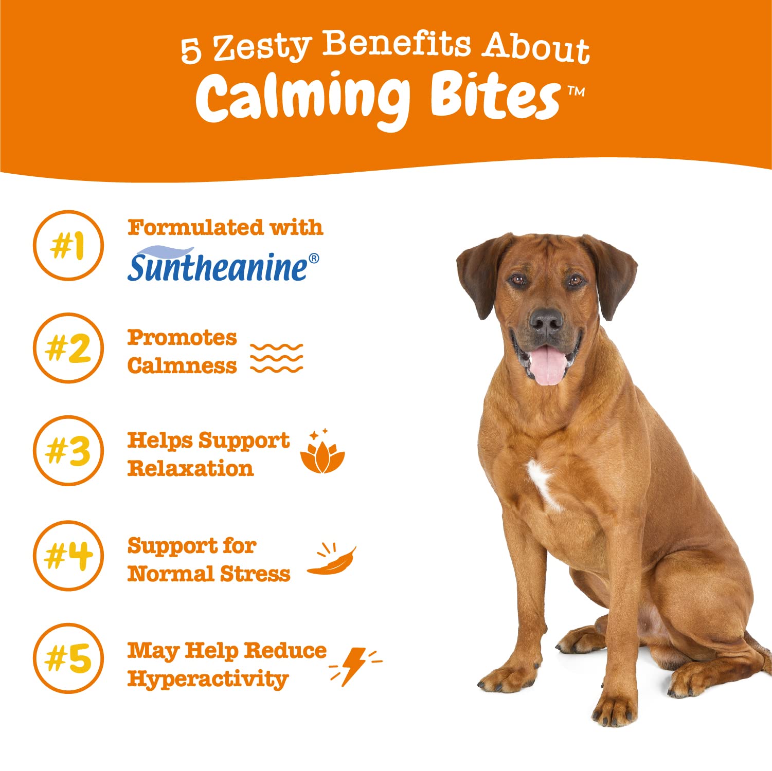 Zesty Paws Calming Chews peanut butter treats on kitchen counter for easy snacking and calm.