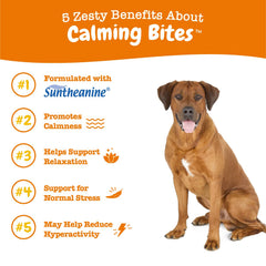 Zesty Paws Calming Chews peanut butter treats on kitchen counter for easy snacking and calm.