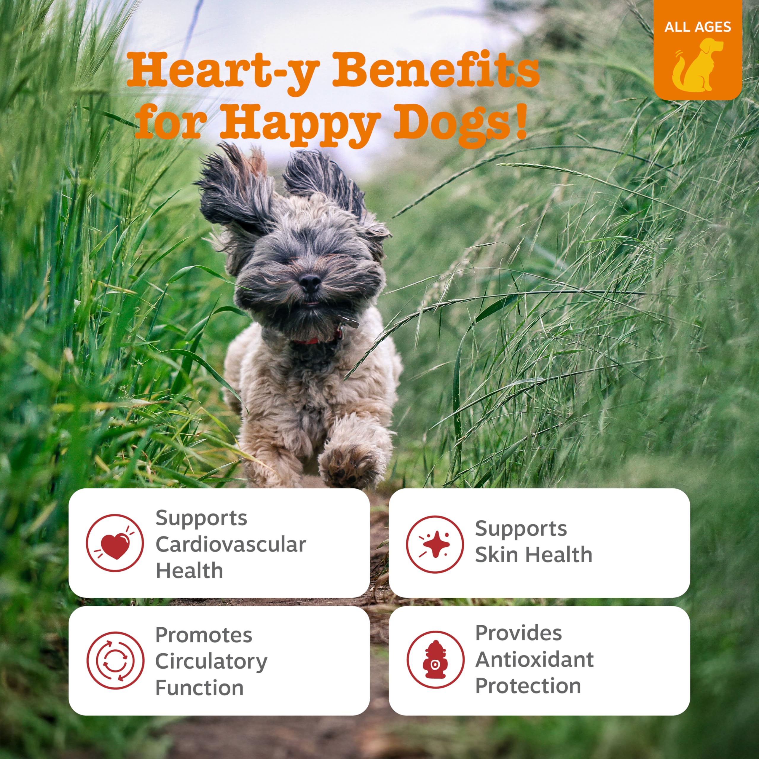 Zesty Paws Cardio Bites taurine-carnitine supports circulation in dogs