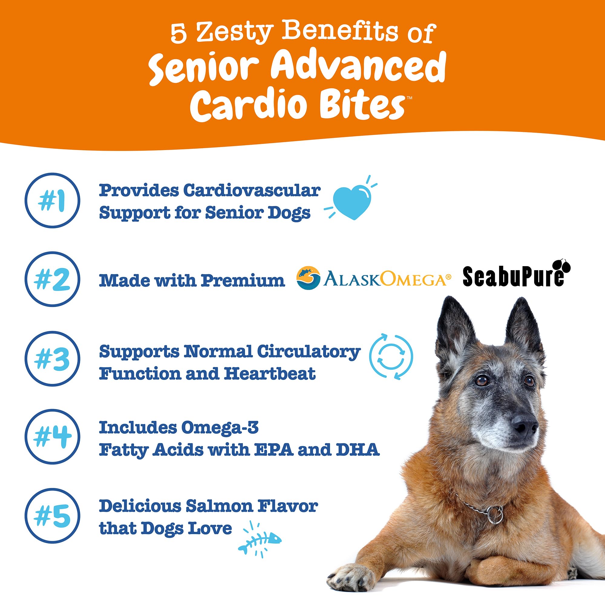 Zesty Paws cardiovascular sea buckthorn ingredient image highlighting antioxidant protection.