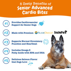 Zesty Paws cardiovascular sea buckthorn ingredient image highlighting antioxidant protection.