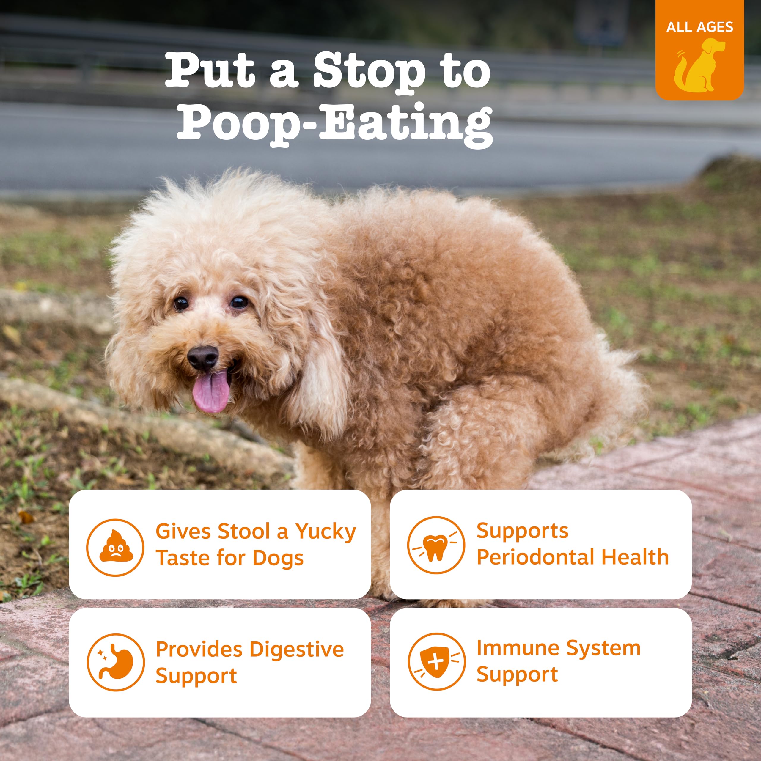 Zesty Paws Chew No Poo bites being offered to a dog for gut health