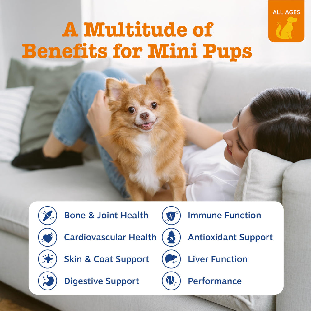 Zesty Paws chicken mini bites close-up show tasty daily support for joints and coat.
