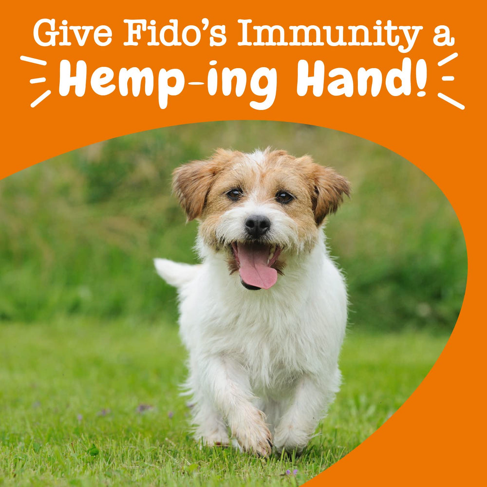 Zesty Paws Cod Liver Fish Oil soft chews closeup underscores coat and skin health benefits.