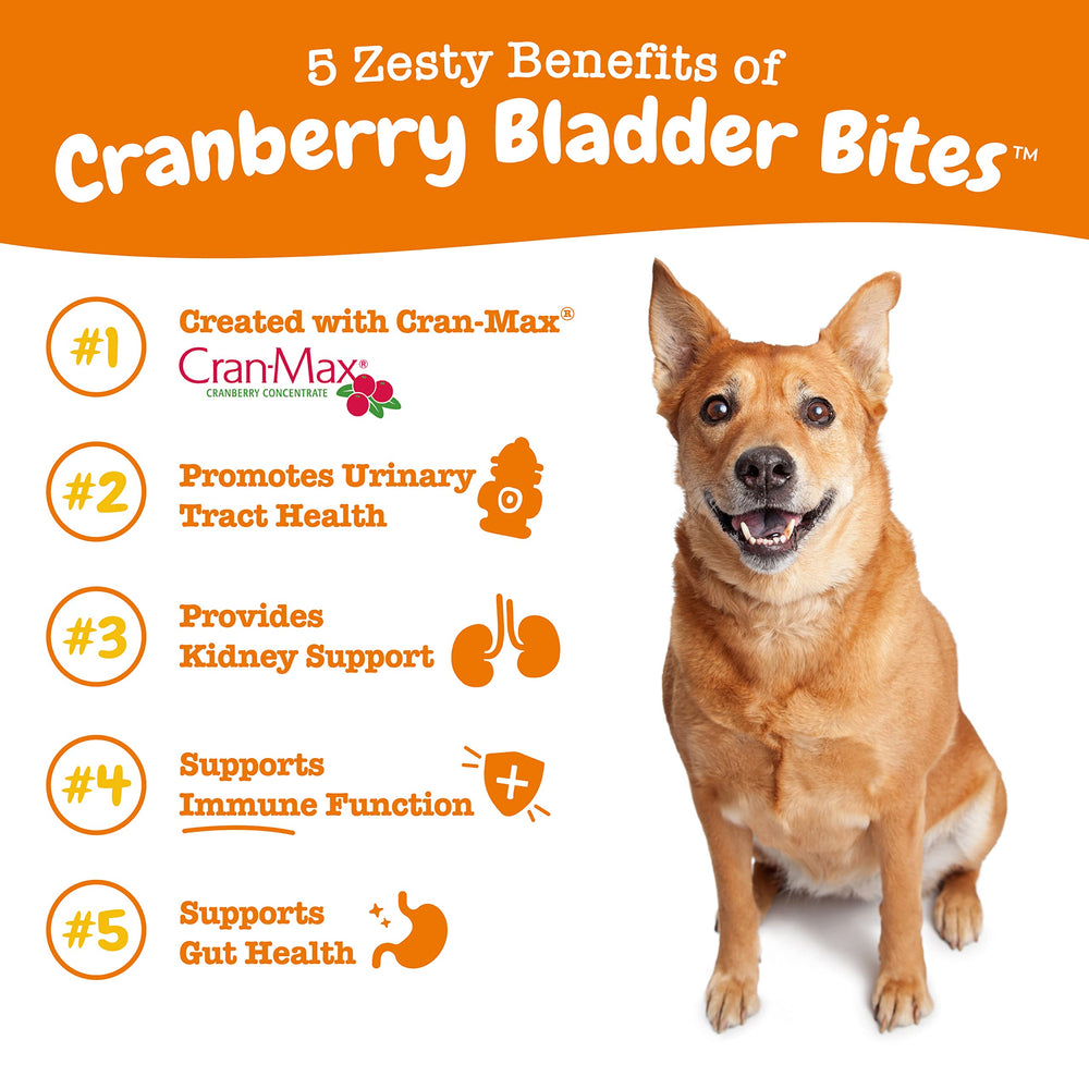 Zesty Paws cranberry chews close-up—bacon-flavored urinary health bites for dogs.