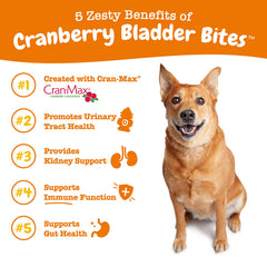 Zesty Paws cranberry chews close-up—bacon-flavored urinary health bites for dogs.
