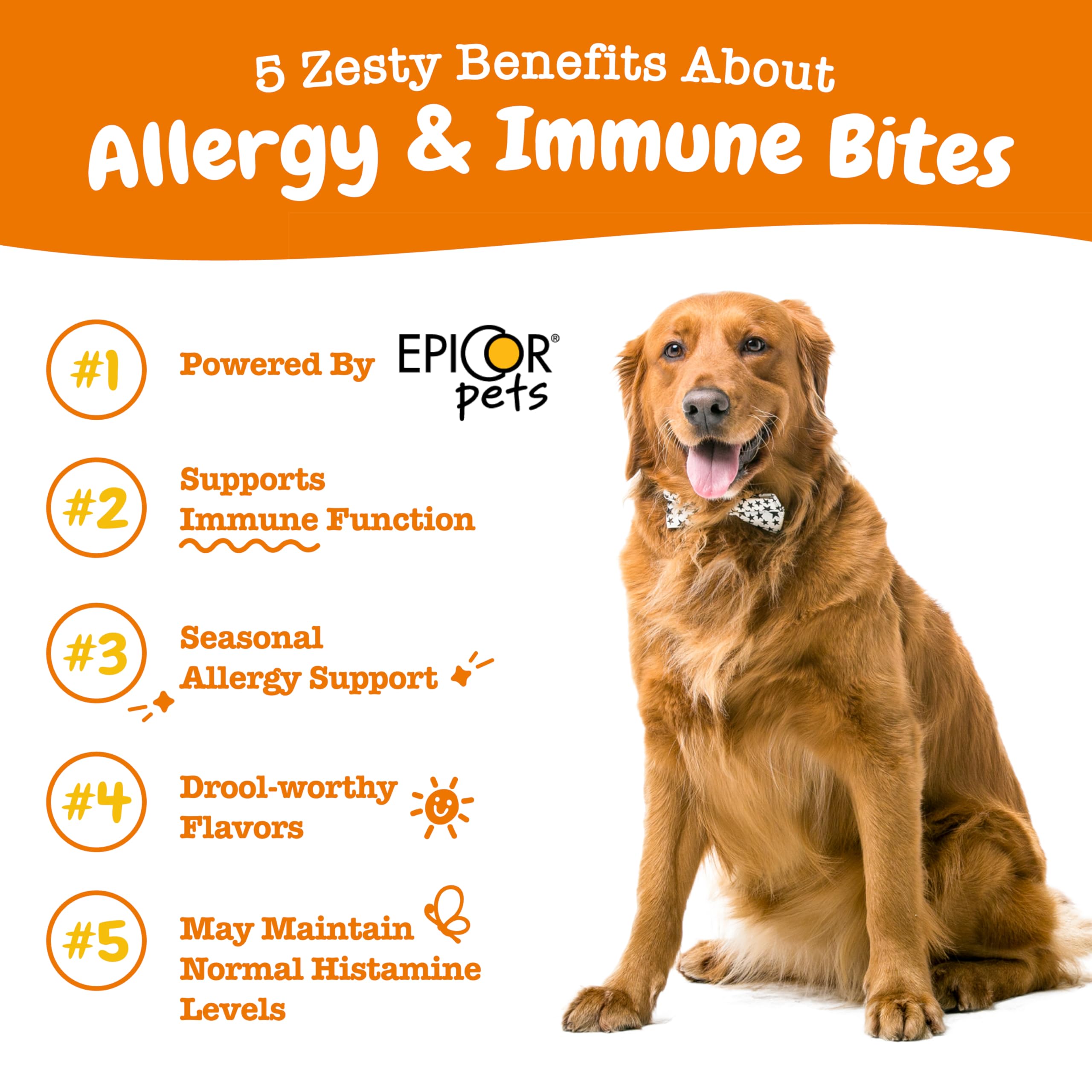Zesty Paws dog allergy relief chews lamb flavor pack – tasty option for sensitive skin.
