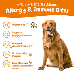 Zesty Paws dog allergy relief chews lamb flavor pack – tasty option for sensitive skin.