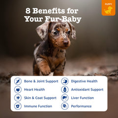 Zesty Paws dog multivitamin chews closeup show tasty texture for easy dosing.