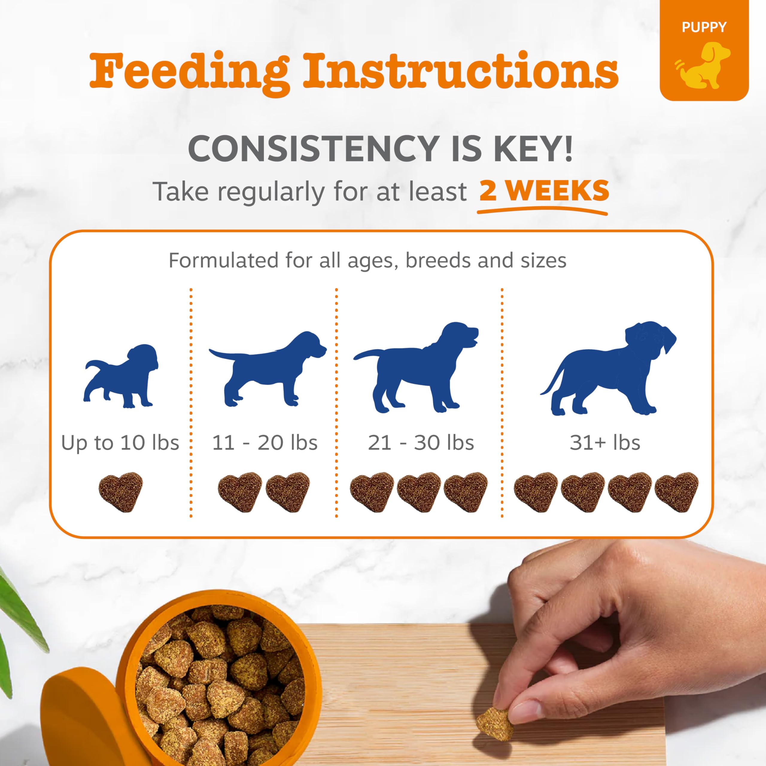 Zesty Paws dog multivitamin skin and coat focus chews for healthy fur.