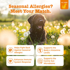 Zesty Paws dog probiotics ingredients image highlights gut-friendly blend for digestion.