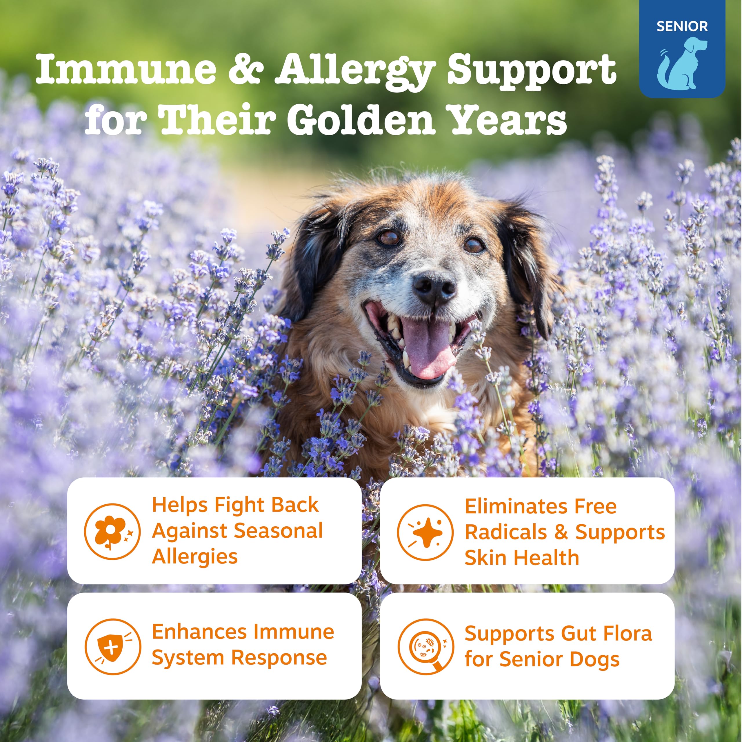 Zesty Paws epi-cor pets immunity bites close-up highlighting immune support benefits.