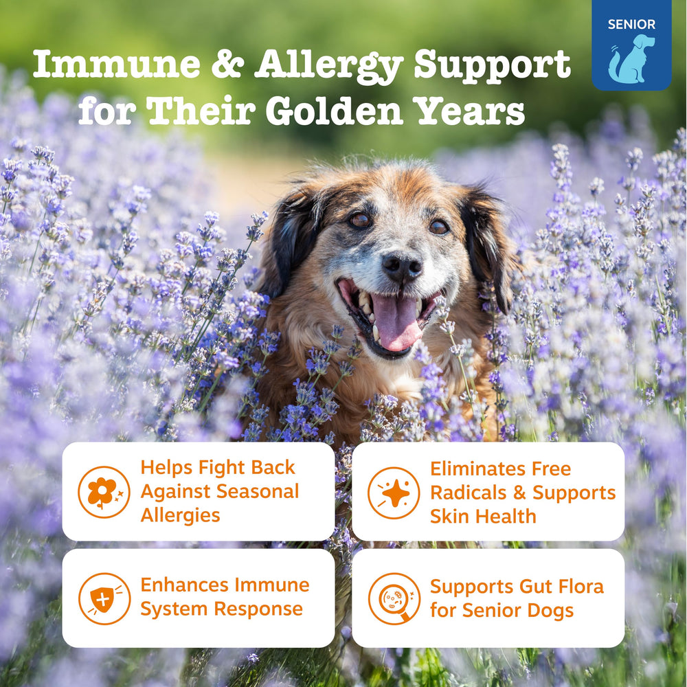 Zesty Paws epi-cor pets immunity bites close-up highlighting immune support benefits.