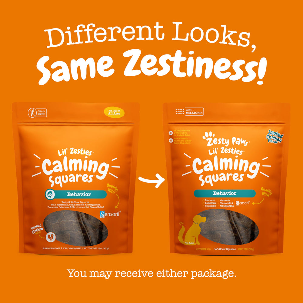 Zesty Paws dog relaxation moment captures blissful, contented pets after calming routine.