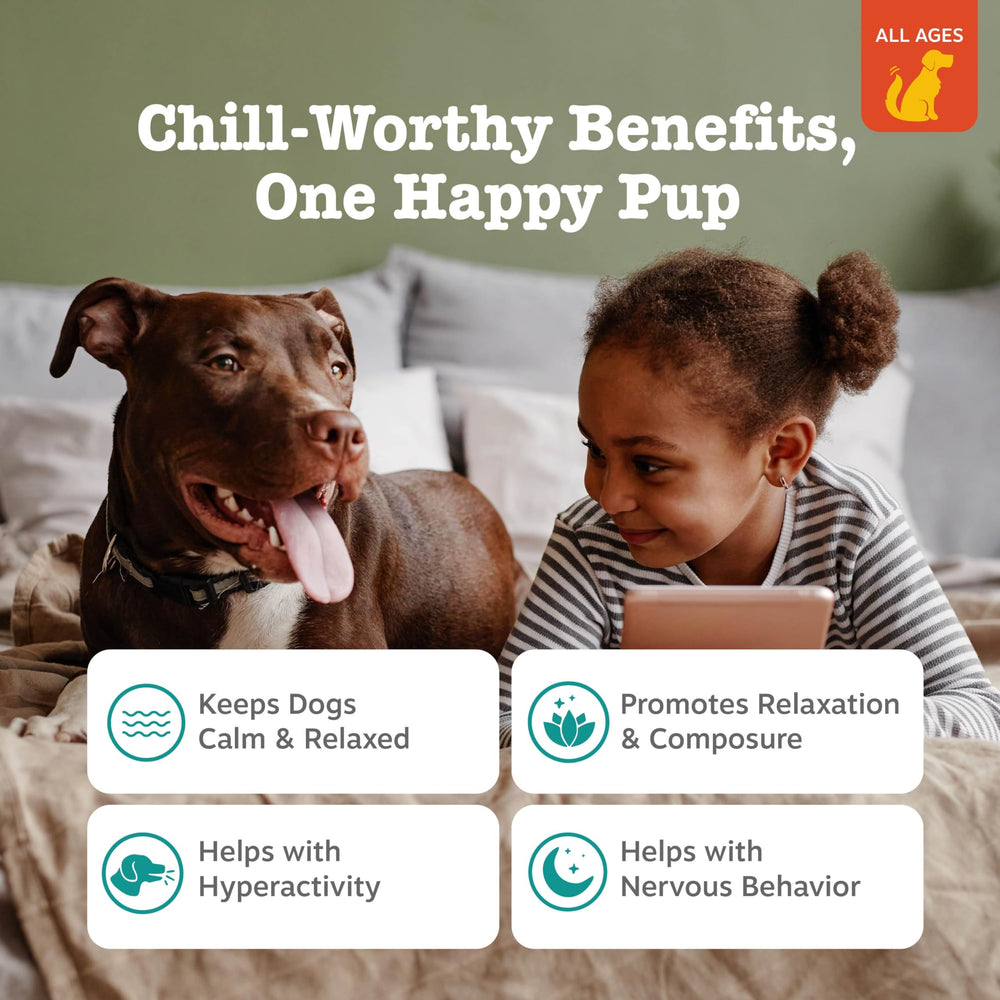 Zesty Paws smoked chicken flavor treats support tasty relief during stressful moments.