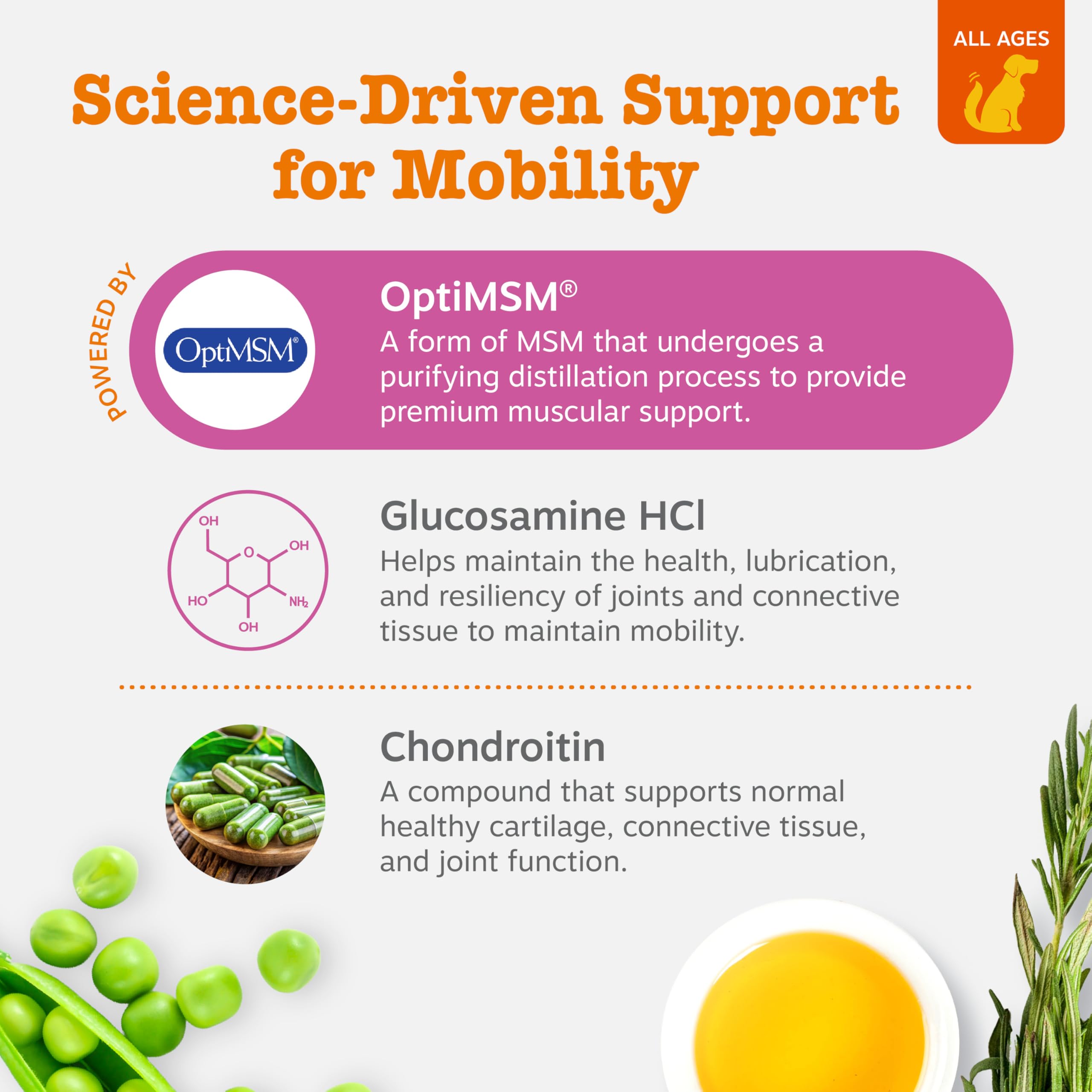 Zesty Paws Glucosamine HCl supports joint health in dogs.
