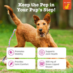 Zesty Paws Green-Lipped Mussel Bites ingredients panel indicating natural joint support.