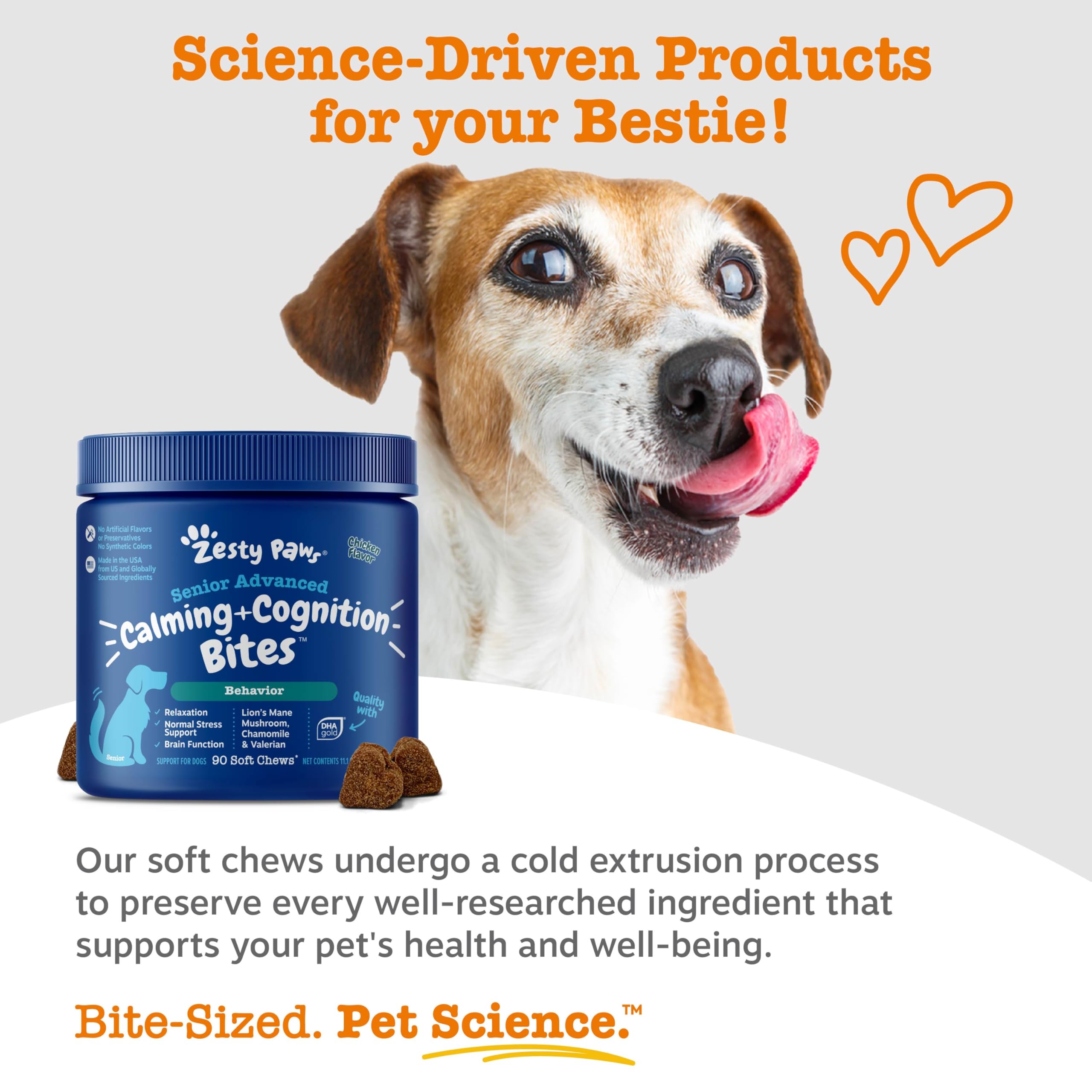 Zesty Paws Lion Mane illustration signals natural brain support.