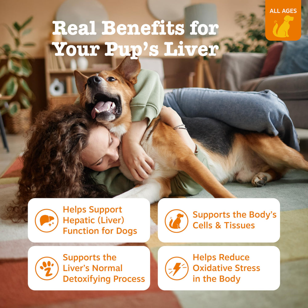 Zesty Paws Liver Support Bites bottle shows chewable liver health supplement for dogs.