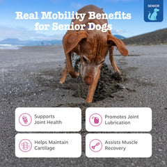 Zesty Paws Mobility Bites soft chews close up show texture for comfort.