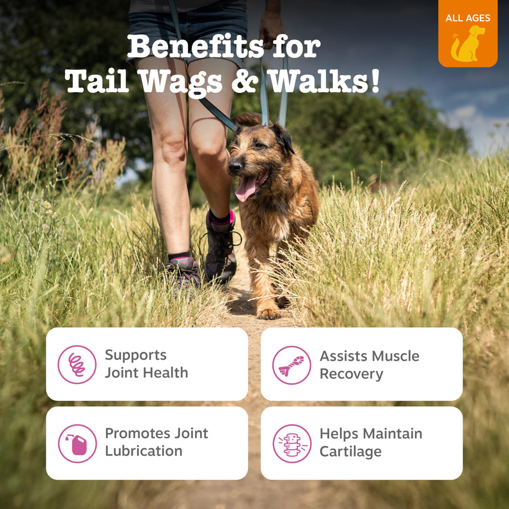 Zesty Paws Mobility Bites duck-chews close-up promotes flexible movement.