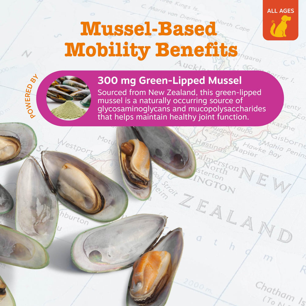 Zesty Paws Mussel Mobility Bites soft chews closeup with chicken flavor.